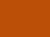 Rust Color Chip